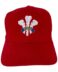Wales Rugby Cap