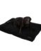 Coussin pour chien Wellington noir