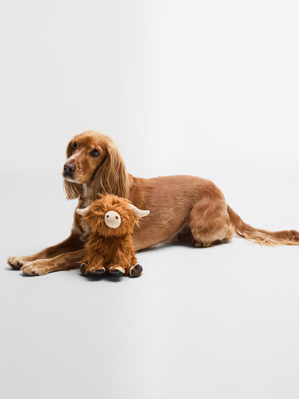 Barbour_Dog_Highland_Cow_Toy_ Barbour_Dog_Highland_Cow_Toy_